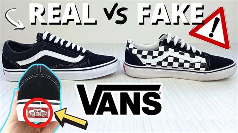 fake van shoes.jpg